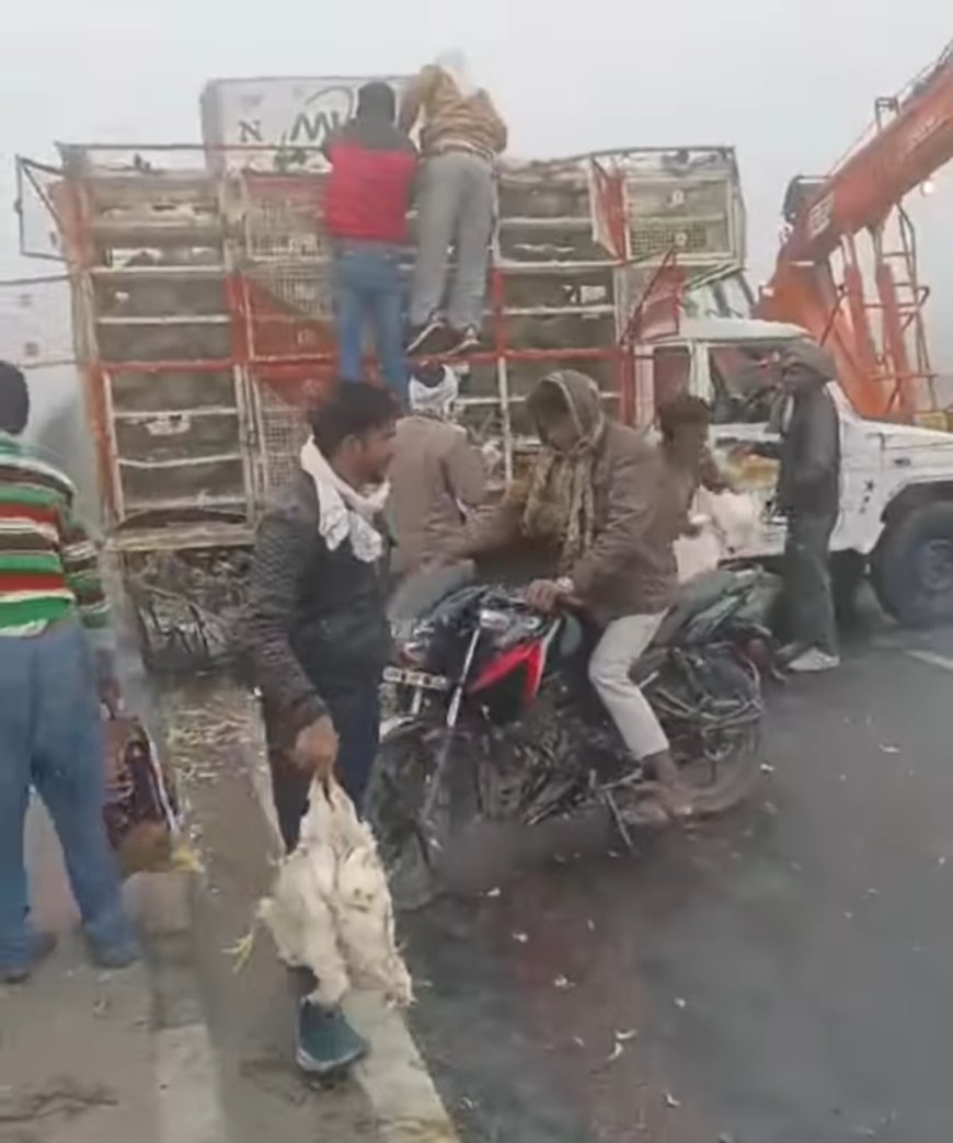 घने कोहरे की वजह से आगरा हाईवे पर एक दर्जन वाहनों में टक्कर, डेड लाख के मुर्गे चोरी।